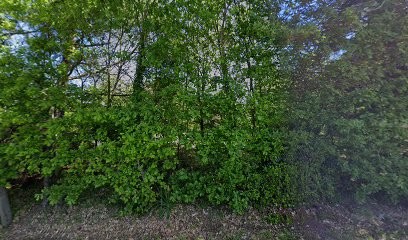 Jean-Francois Lescure, Charpentier à Mirabel