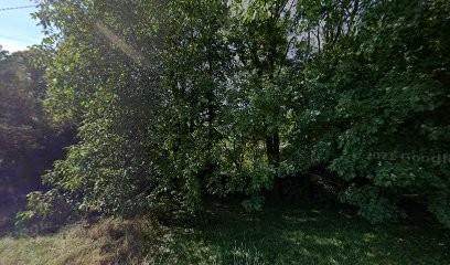 F.gachet, Charpentier à Jarrie