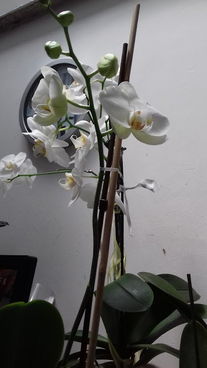 Menuiserie Dupeyron Alain, Charpentier à Sarbazan