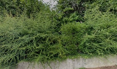 Agencement Intérieur Chartier, Menuisier à Vierzon