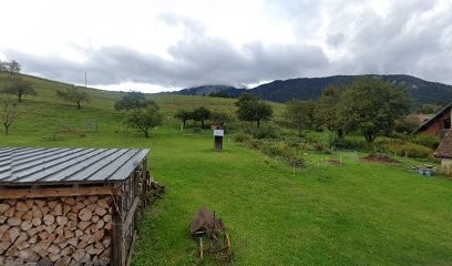 Virard Charpente, Charpentier à Saint-Pierre-de-Chartreuse