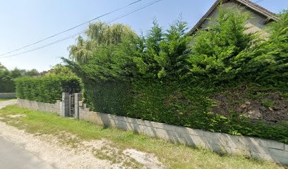 Nivert Laurent, Charpentier à Langon-sur-Cher