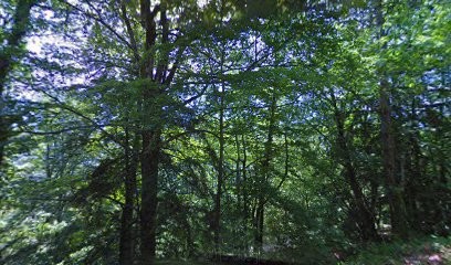 Les Copeaux De La Poyat, Menuisier à Queige