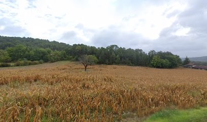 Bernardin Joël, Charpentier à Marsaneix