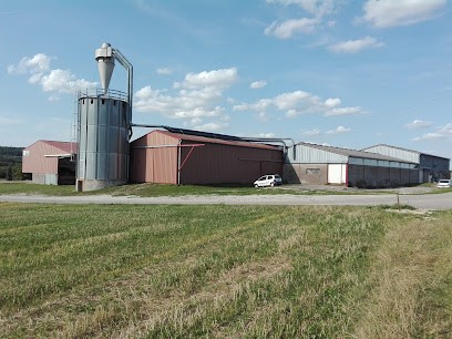 Menuiserie TRIDON (Vittel, Neufchâteau, Lamarche, Mirecourt), Menuisier à Haréville