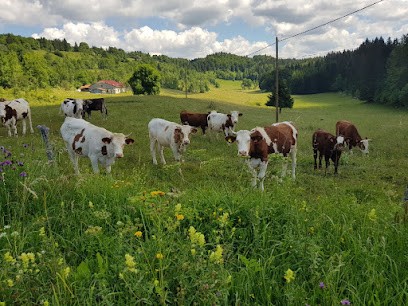 Nicolet Charpente, Charpentier à Septmoncel les Molunes