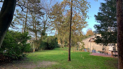 Amika, Menuisier à Chantilly