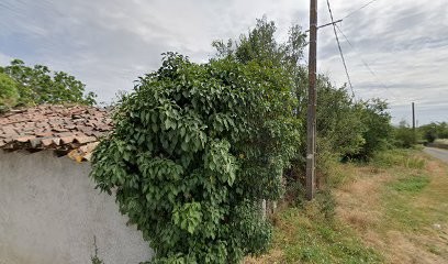 Deciron Jean Noel, Charpentier à Valdivienne