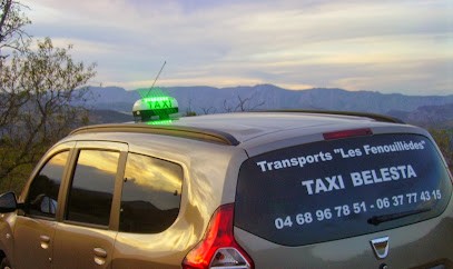 V.M.Pose Bois & Vous, Menuisier à Bélesta