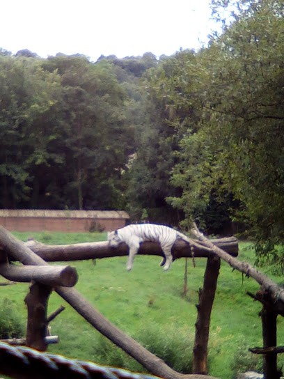 SJ Entreprise, Charpentier à Hermival-les-Vaux