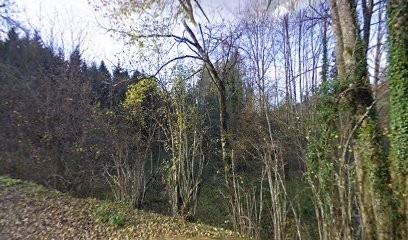 ECZ Charpente, Charpentier à Saint-Christophe-sur-Guiers