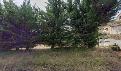 Yohann Viratelle, Charpentier à Paulhiac