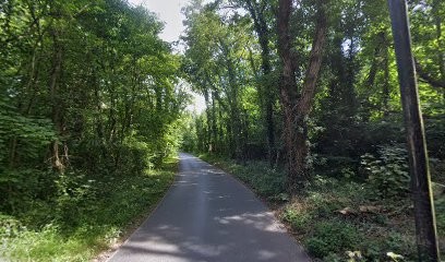 Victor Dufeignies, Menuisier à Viarmes