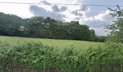 Les Toituriers Du Bearn, Charpentier à Moncla