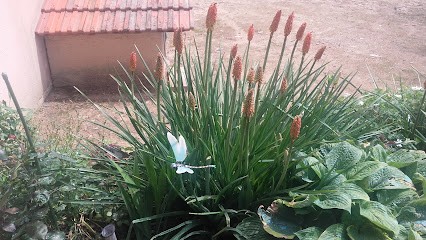 Aublanc Alain, Charpentier à Matour