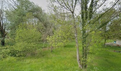 Blanche Laurent, Charpentier à Ménesplet