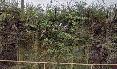 Allo Pose, Menuisier à Steinbach