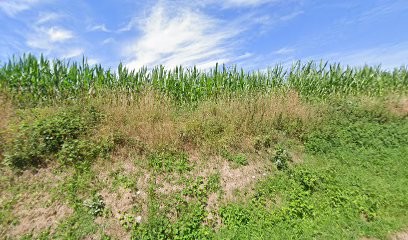 Pichot Daniel, Menuisier aux Loges-Marchis