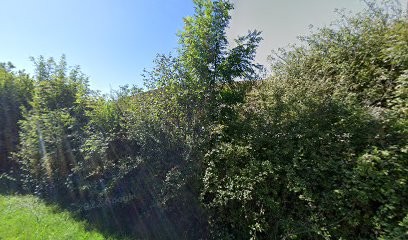 Jouve La F'nêtre, Menuisier à Polliat