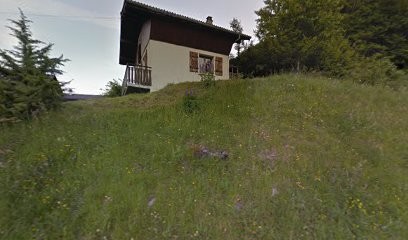 Bellini Bois Conception, Menuisier à Thônes