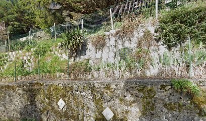 SARL SALVY, Charpentier à Saint-Martin-le-Vinoux