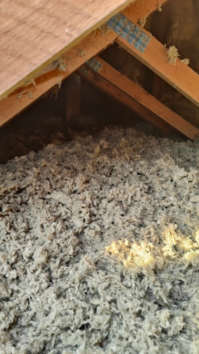 Zacher Templier, Charpentier à Sauvagnon