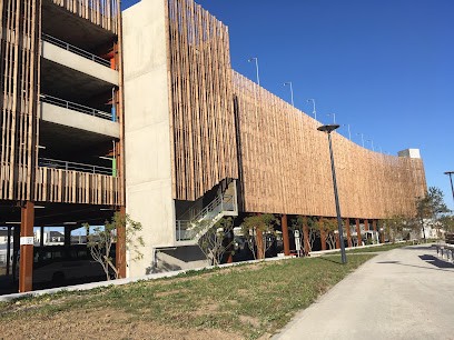 Le Marchand, Menuisier au Quillio