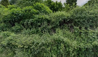 Laurent Montage Levage, Charpentier à Moutier-Rozeille