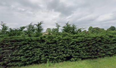 Joel Plaçot, Menuisier à Sourzac