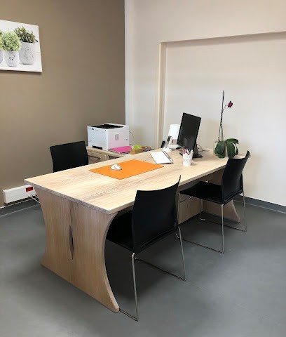 Thibault Tourrette, Menuisier à Vabres