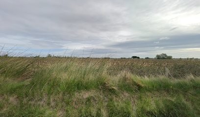 Charpente Ambiehl, Charpentier à Sérignan