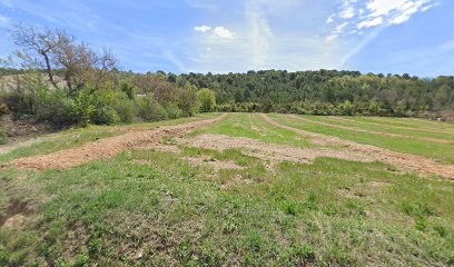 Bonomini Laurent, Menuisier à Riez