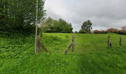 Reveco Bois, Charpentier à La Ferté-Saint-Samson