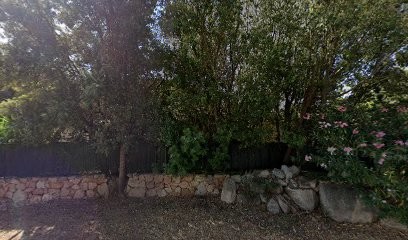 Solution Bois De Petronzi Francesco, Charpentier à Porto-Vecchio