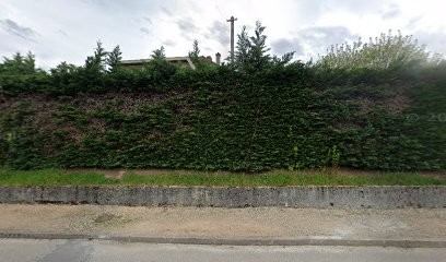 Thevenon Jean-Michel, Charpentier à Roche