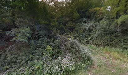 Dumousseau Claude, Charpentier à Saint-Fortunat-sur-Eyrieux