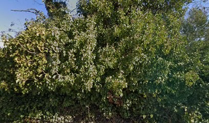 Abeille Dépannage 13, Menuisier à Carry-le-Rouet