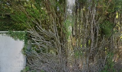 Samcco, Charpentier à La Saunière