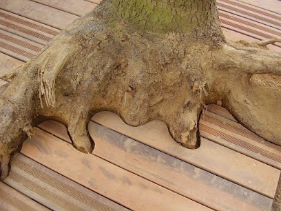 Légeron Hervé Charpente Et Ossature Bois, Charpentier à Landujan