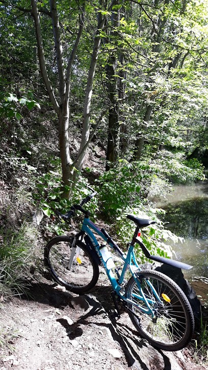 Entreprise Rodde Et Fils, Menuisier à La Roche-Noire