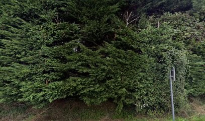 SARL POILVERT, Charpentier à Bréhand