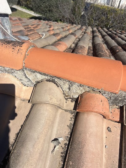 Arles charpentier, Charpentier à Arles