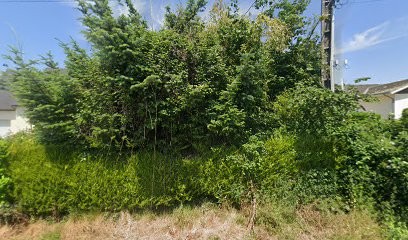 Agnes Fabrice, Menuisier à Étienville