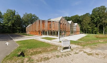 Traits d'Esprits - Artisanat Charpente/Menuiserie/Agencement, Menuisier à Épinal