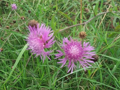 Toujouse SARL, Menuisier à Vaux-sur-Mer