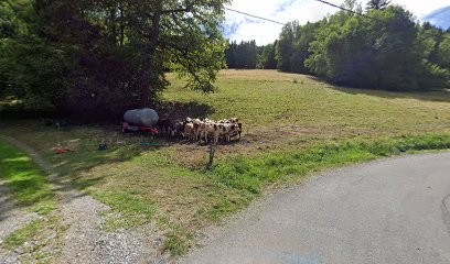 Antoine Altitude Bois, Charpentier à La Rivière-Enverse