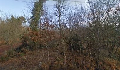 VOS PROJETS BOIS, Charpentier à Grayan-et-l'Hôpital