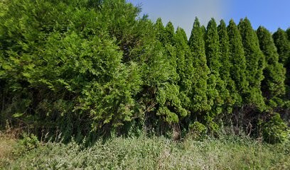 Coat Menuiserie, Charpentier à Saint-Pol-de-Léon