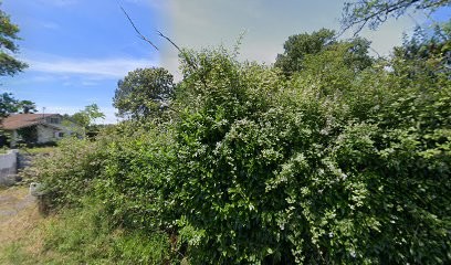 Bourdic Thierry, Charpentier à Haut-Mauco