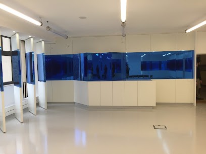 SSB Menuiserie, Menuisier à Boissy-l'Aillerie